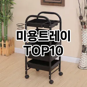 미용트레이 추천 순위  TOP10 구매가이드 2025년 8월 4주차