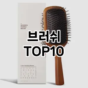 브러쉬 추천 순위  TOP10 구매가이드 2025년 8월 4주차