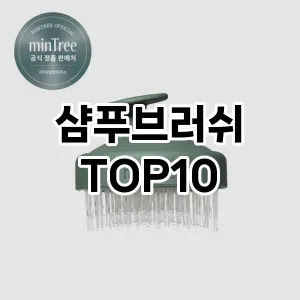 샴푸브러쉬 추천 순위  TOP10 구매가이드 2025년 8월 4주차