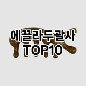 에끌라두괄사 추천 순위  TOP10 구매가이드 2025년 8월 4주차