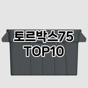[진짜리뷰]토르박스75 추천 순위  TOP10 구매가이드 2025년 9월 1주차