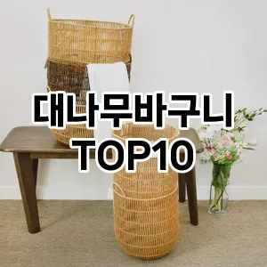 [특가추천]대나무바구니 추천 순위  TOP10 구매가이드 2025년 9월 1주차