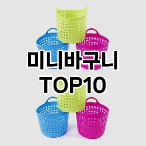 [강력추천]미니바구니 추천 순위  TOP10 구매가이드 2025년 9월 3주차