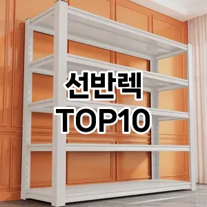 [추천특가]선반렉 추천 순위  TOP10 구매가이드 2025년 9월 1주차
