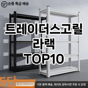[특가추천]트레이더스고릴라랙 추천 순위  TOP10 구매가이드 2025년 9월 1주차