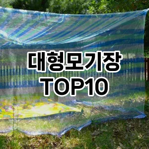 [대박할인]대형모기장 추천 순위  TOP10 구매가이드 2025년 10월 4주차