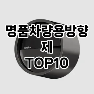 [눌러봐용]명품차량용방향제 추천 순위  TOP10 구매가이드 2025년 10월 4주차