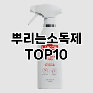 [리얼후기]뿌리는소독제 추천 순위  TOP10 구매가이드 2025년 10월 4주차