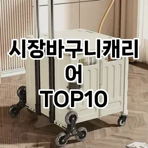 [할인제품]시장바구니캐리어 추천 순위  TOP10 구매가이드 2025년 10월 1주차