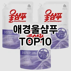 [베스트템]애경울샴푸 추천 순위  TOP10 구매가이드 2025년 10월 4주차