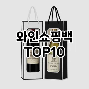 [특가추천]와인쇼핑백 추천 순위  TOP10 구매가이드 2025년 10월 4주차
