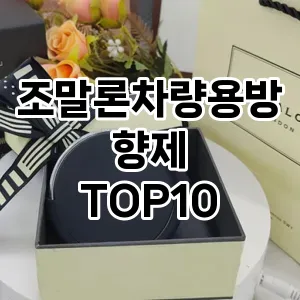 [추천안내]조말론차량용방향제 추천 순위  TOP10 구매가이드 2025년 10월 1주차