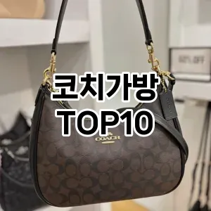 [진짜후기]코치가방 추천 순위  TOP10 구매가이드 2025년 9월 2주차