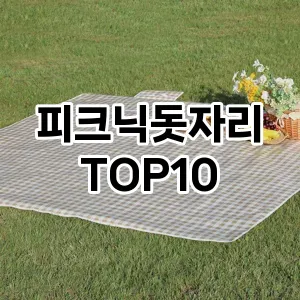 [리얼리뷰]피크닉돗자리 추천 순위  TOP10 구매가이드 2025년 10월 1주차