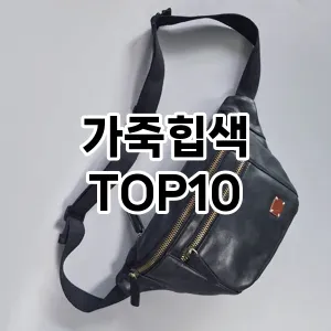 [할인제품]가죽힙색 추천 순위  TOP10 구매가이드 2025년 11월 4주차