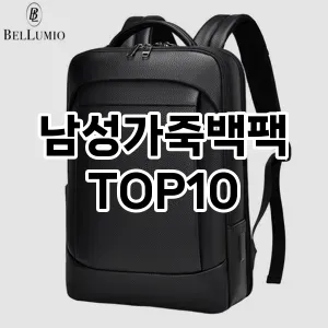 [레알핫템]남성가죽백팩 추천 순위  TOP10 구매가이드 2025년 11월 4주차