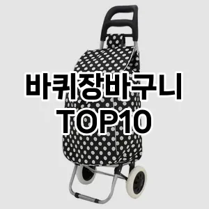 [추천안내]바퀴장바구니 추천 순위  TOP10 구매가이드 2025년 10월 4주차