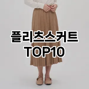 [대박할인]플리츠스커트 추천 순위  TOP10 구매가이드 2025년 11월 4주차