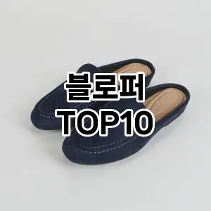 [리뷰리뷰]블로퍼 추천 순위  TOP10 구매가이드 2026년 1월 1주차후기 | 가성비 | 가격 리뷰