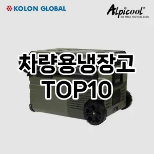 [대박할인]차량용냉장고 추천 순위  TOP10 구매가이드 2025년 12월 5주차