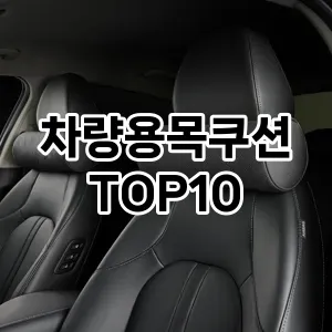 [베스트템]차량용목쿠션 추천 순위  TOP10 구매가이드 2025년 12월 5주차
