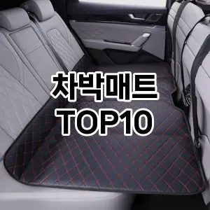 [진짜후기]차박매트 추천 순위  TOP10 구매가이드 2025년 12월 5주차