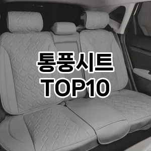[추천특가]통풍시트 추천 순위  TOP10 구매가이드 2025년 12월 5주차