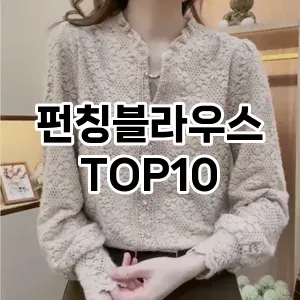 [리뷰알림]펀칭블라우스 추천 순위  TOP10 구매가이드 2025년 12월 2주차