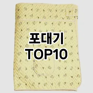 [리얼후기]포대기 추천 순위  TOP10 구매가이드 2025년 12월 2주차