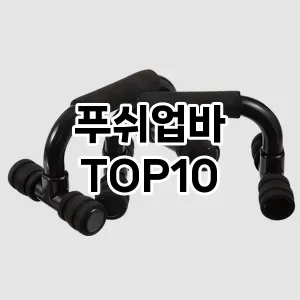 [봐보세요]푸쉬업바 추천 순위  TOP10 구매가이드 2025년 12월 2주차