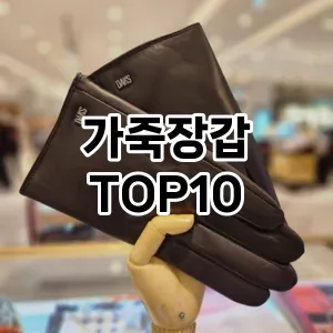 [리뷰알림]가죽장갑 추천 순위  TOP10 구매가이드 2026년 1월 2주차최고의 선택을 위한 완전한 안내서