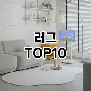 [베스트템]러그 추천 순위  TOP10 구매가이드 2026년 1월 2주차| 후기리뷰 | 가격 비교