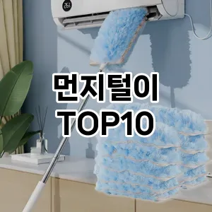[진짜후기]먼지털이 추천 순위  TOP10 구매가이드 2026년 1월 2주차| 후기리뷰 | 가격 비교