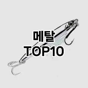 [강력추천]메탈 추천 순위  TOP10 구매가이드 2026년 1월 2주차| 후기 | 가격 정보
