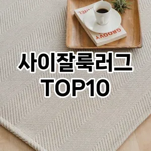 [추천특가]사이잘룩러그 추천 순위  TOP10 구매가이드 2026년 1월 2주차(가격 장단점)