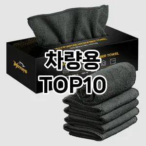 [특가제품]차량용 추천 순위  TOP10 구매가이드 2026년 1월 2주차제품 | 후기