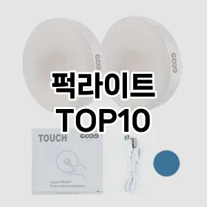 [리얼리뷰]퍽라이트 추천 순위  TOP10 구매가이드 2026년 2월 1주차