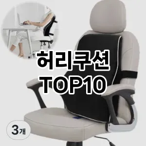 [진짜리뷰]허리쿠션 추천 순위  TOP10 구매가이드 2026년 1월 2주차| 후기리뷰 | 가격 비교