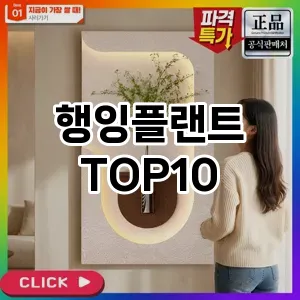 [제품알림]행잉플랜트 추천 순위  TOP10 가성비