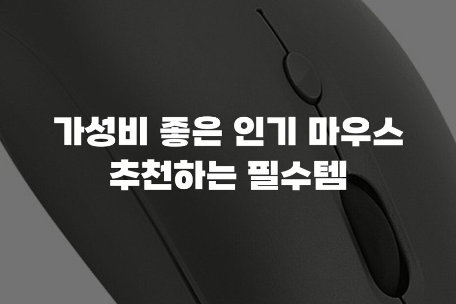 가성비 좋은 인기 마우스 추천하는 필수템