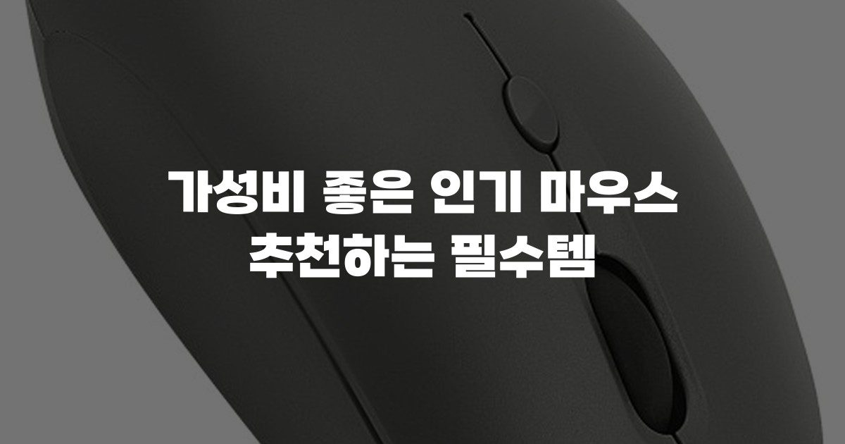 가성비 좋은 인기 마우스 추천하는 필수템