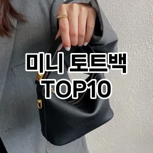 [추천리뷰]미니 토트백 추천 순위  TOP10 2026년 4월1주차
