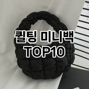 [추천안내]퀼팅 미니백 추천 순위  TOP10 2026년 4월1주차