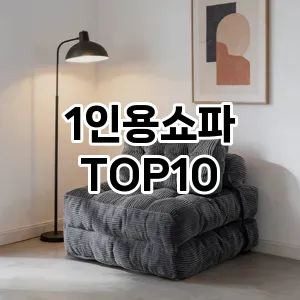 [리얼리뷰]1인용쇼파 추천 순위 구매가이드 TOP10 아쉬운점