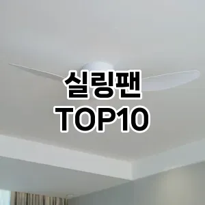 [진짜리뷰]실링팬 추천 순위 구매가이드 TOP10 2026년 5월2주차